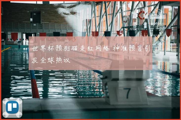 世界杯预测猫走红网络 神准预言引发全球热议