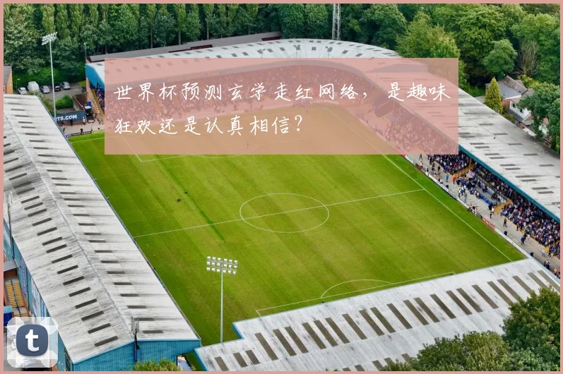 世界杯预测玄学走红网络，是趣味狂欢还是认真相信？
