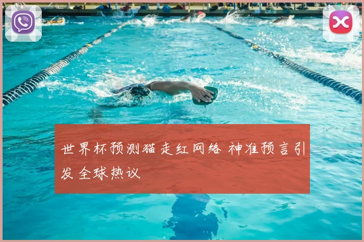 世界杯预测猫走红网络 神准预言引发全球热议