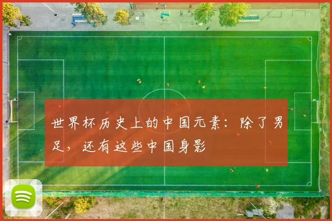 世界杯历史上的中国元素：除了男足，还有这些中国身影