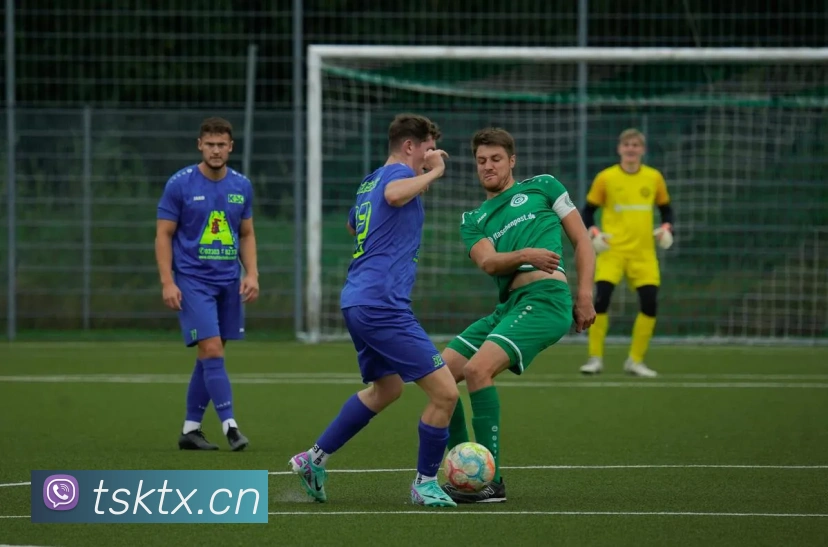 星空体育在线平台登录APP 封面图